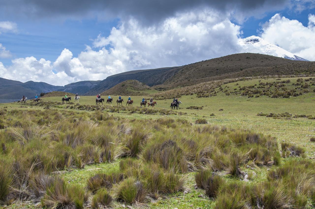 Hotel Tambopaxi Machachi Екстериор снимка